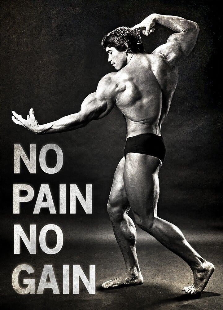 dung_decor_arnold_schwarzenegger_20240105