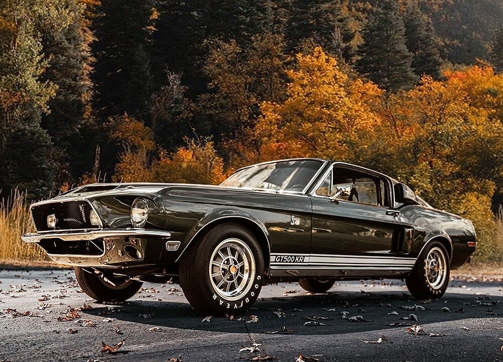 dung_decor_ford_mustang_shelby_gt_500_20240816