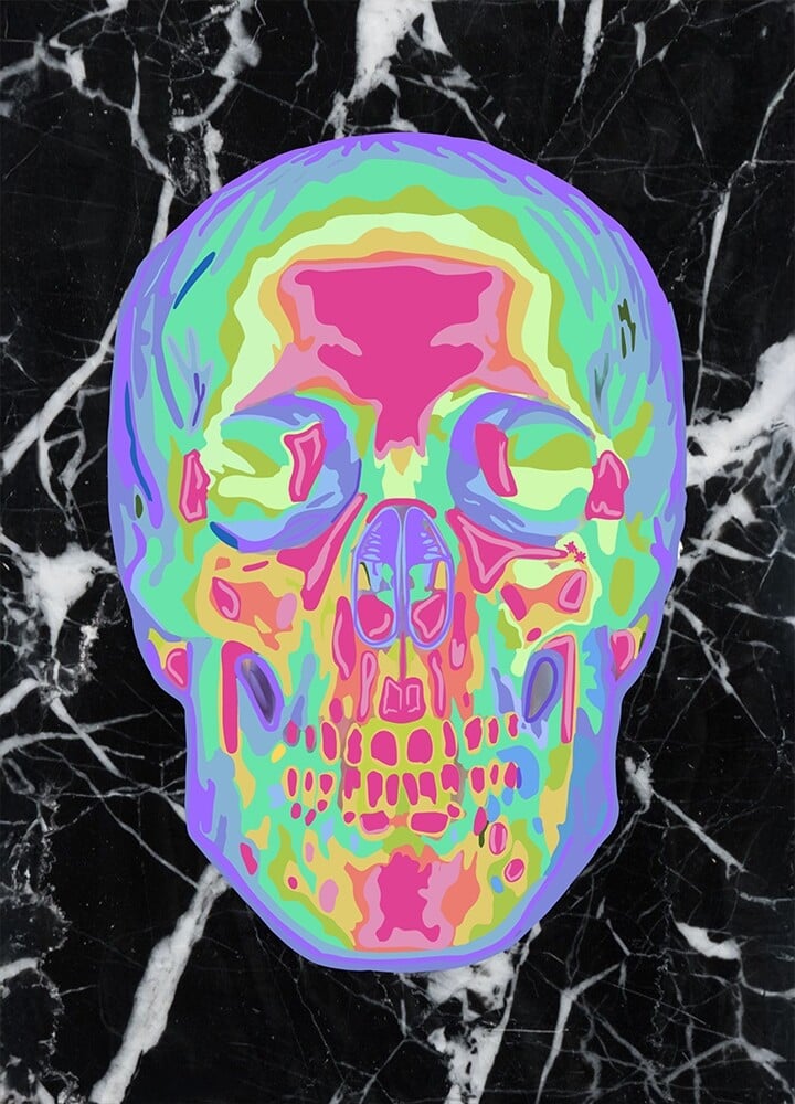 kisspink_skull_20241025