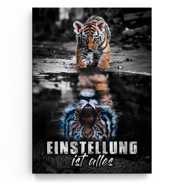 Artmazing Leinwandbild Einstellung ist Alles