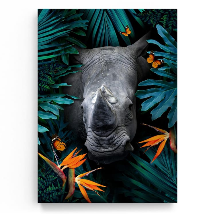Artmazing Leinwandbild Dschungelblick Nashorn