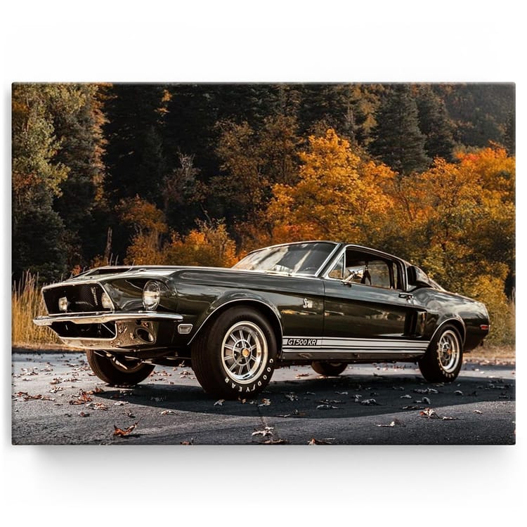 Artmazing Leinwandbild Autumn Shelby